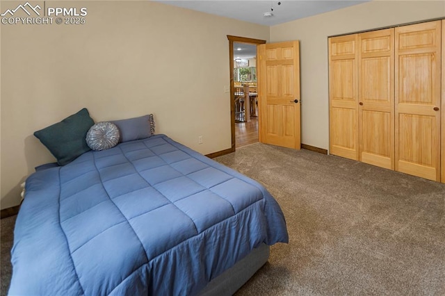 74 Buckskin Cir, Florissant, CO 80816 - bedroom featuring carpet floors, baseboards, and a closet