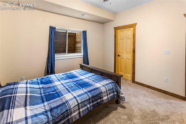 74 Buckskin Cir, Florissant, CO 80816 - bedroom with carpet flooring and baseboards