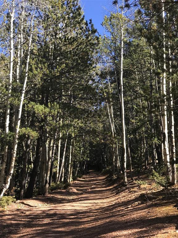 74 Buckskin Cir, Florissant, CO 80816 - view of road featuring a wooded view