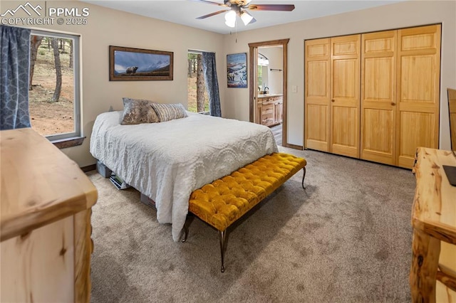 74 Buckskin Cir, Florissant, CO 80816 - bedroom featuring light carpet, multiple windows, ensuite bath, and a ceiling fan
