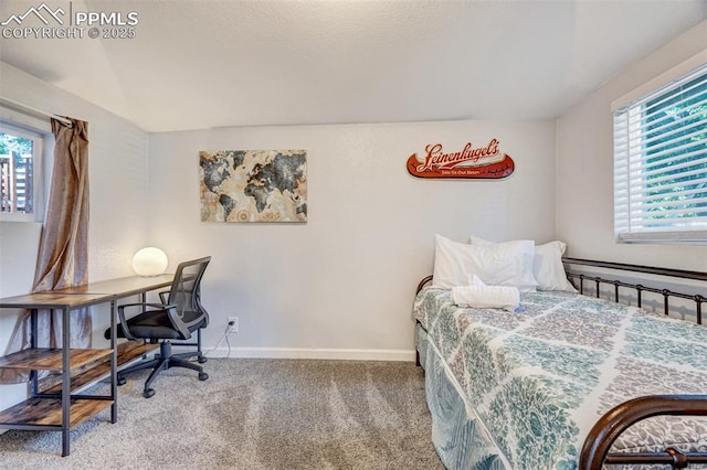111 N 14th St, Colorado Springs, CO 80904 - carpeted bedroom with baseboards and an office area