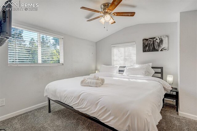 111 N 14th St, Colorado Springs, CO 80904 - bedroom featuring carpet floors, baseboards, lofted ceiling, and ceiling fan