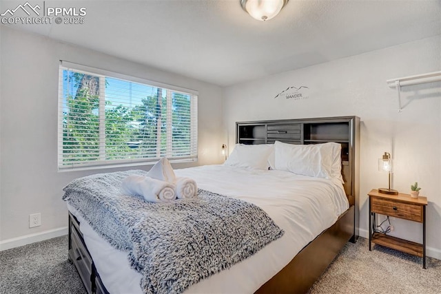 111 N 14th St, Colorado Springs, CO 80904 - bedroom with carpet and baseboards