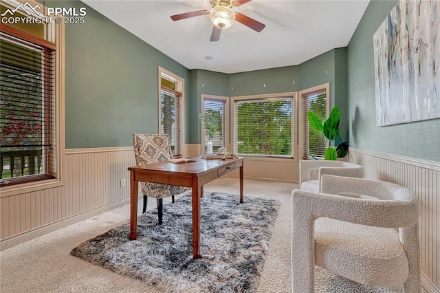 16150 Cliffrock Ct, Colorado Springs, CO 80921 - carpeted office space featuring a wainscoted wall and ceiling fan