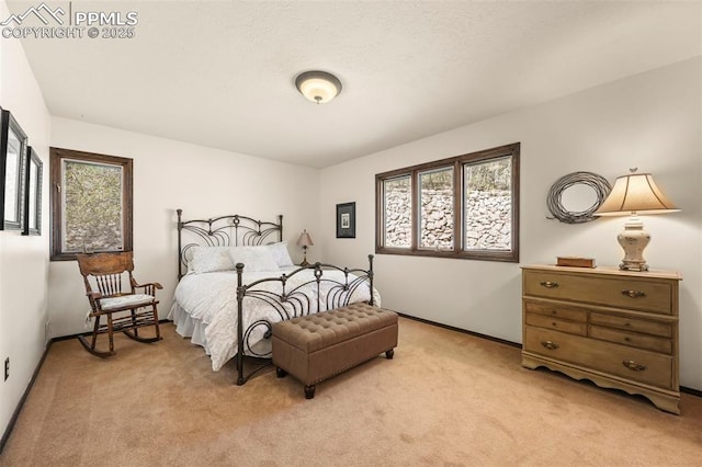 8020 Westwood Rd, Colorado Springs, CO 80919 - bedroom featuring light carpet and baseboards
