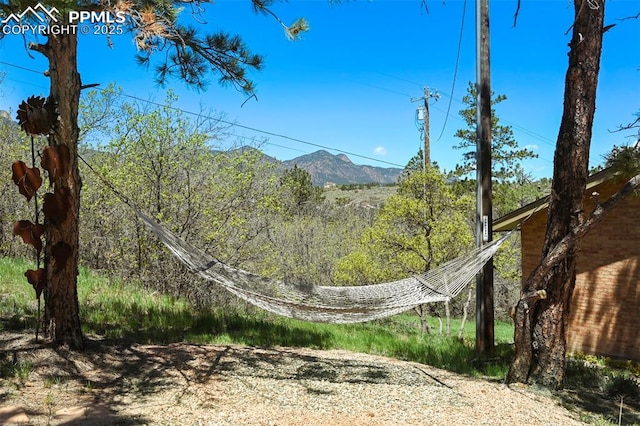 8020 Westwood Rd, Colorado Springs, CO 80919 - view of mountain background