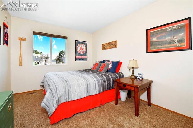 1234 Soaring Eagle Dr, Colorado Springs, CO 80915 - carpeted bedroom with baseboards