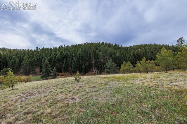 521 University Dr, Woodland Park, CO 80863