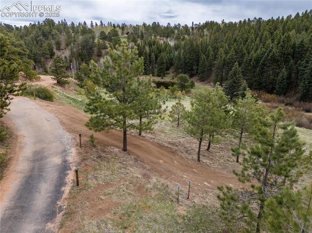 521 University Dr, Woodland Park, CO 80863