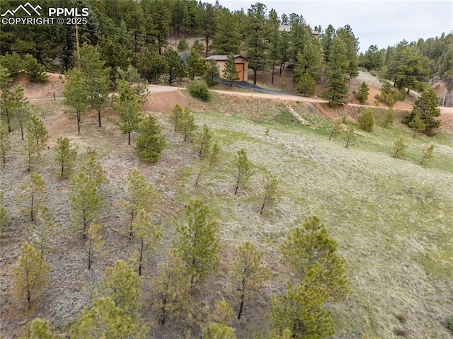 521 University Dr, Woodland Park, CO 80863