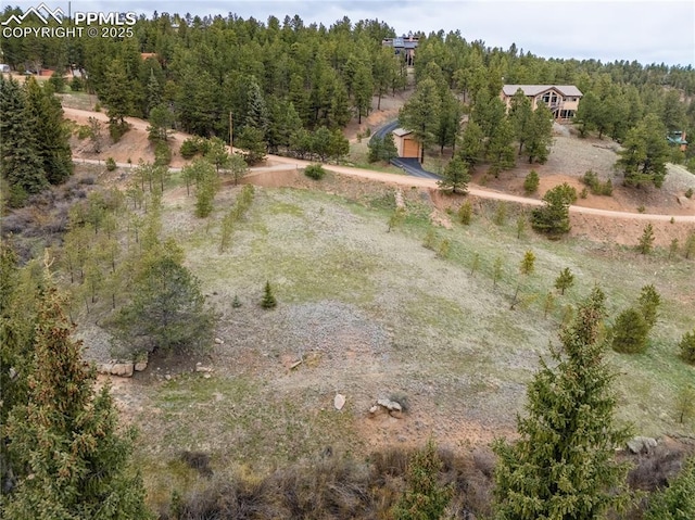521 University Dr, Woodland Park, CO 80863