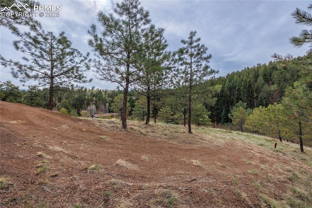 521 University Dr, Woodland Park, CO 80863