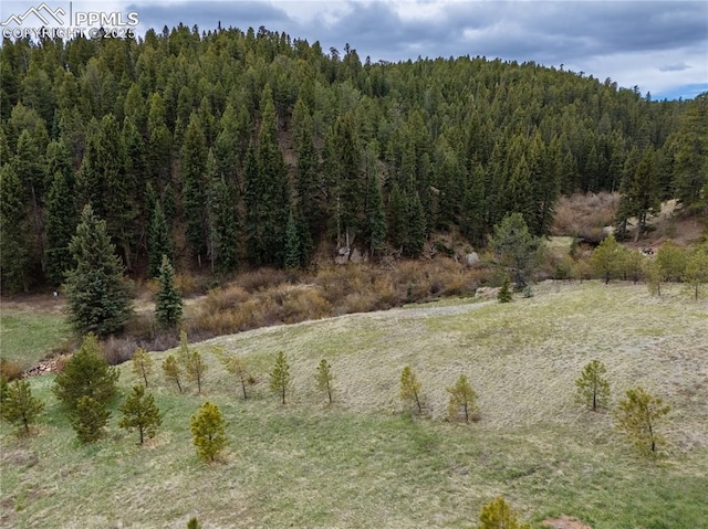 521 University Dr, Woodland Park, CO 80863