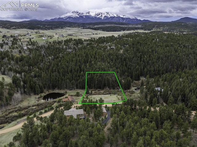 521 University Dr, Woodland Park, CO 80863