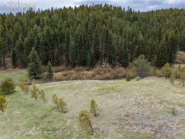 521 University Dr, Woodland Park, CO 80863
