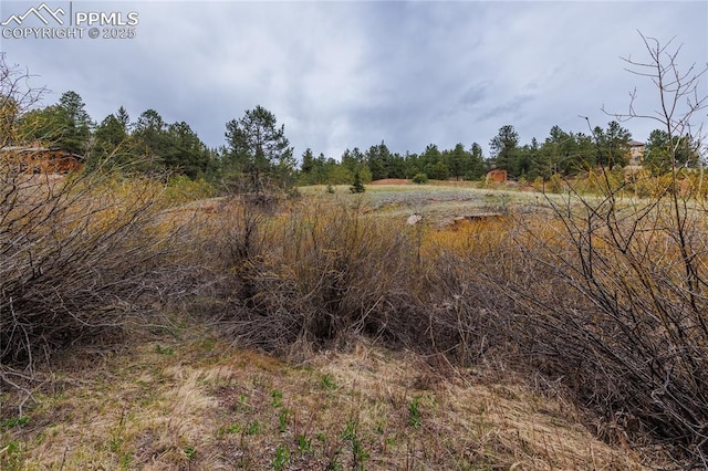521 University Dr, Woodland Park, CO 80863