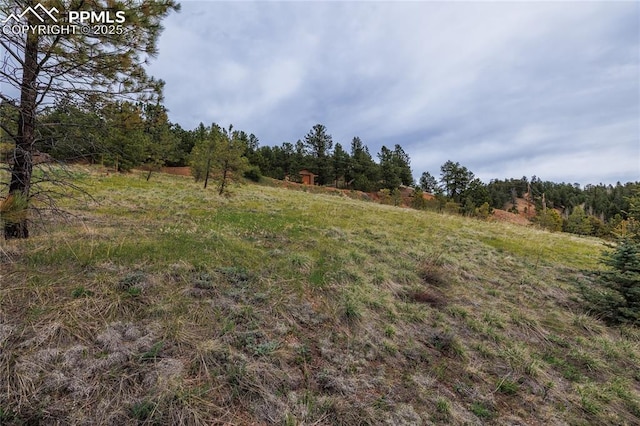 521 University Dr, Woodland Park, CO 80863