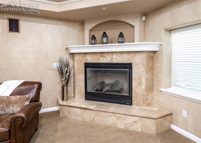 12515 Broad Oaks Dr, Colorado Springs, CO 80921 - detailed view of carpet, a tiled fireplace, and baseboards