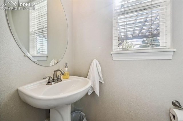 8445 Jacks Fork Dr, Colorado Springs, CO 80924 - bathroom featuring a sink