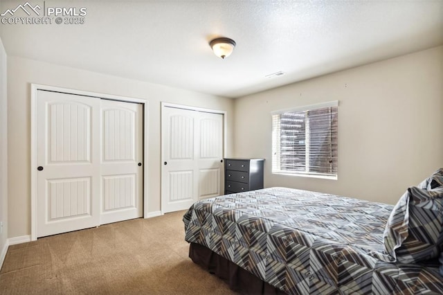 7663 Double Barrel Hts, Colorado Springs, CO 80923 - carpeted bedroom featuring two closets and baseboards