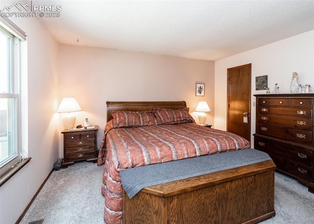 15335 Deby Dr, Colorado Springs, CO 80921 - view of carpeted bedroom