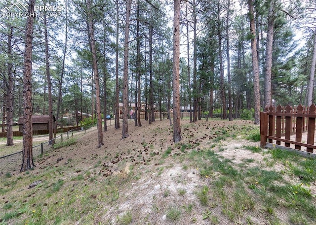 15335 Deby Dr, Colorado Springs, CO 80921 - view of yard featuring fence