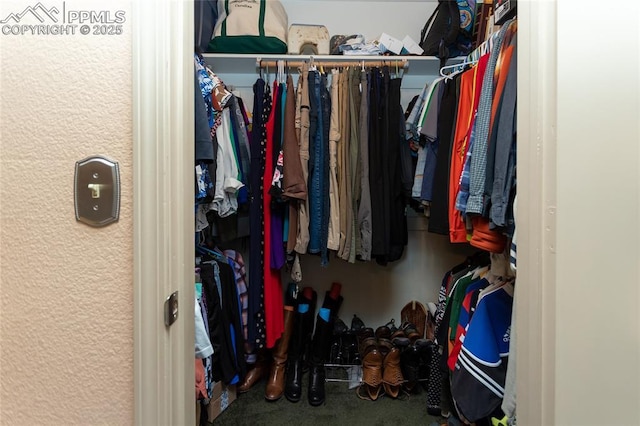 1053 Kings Crown Rd, Woodland Park, CO 80863 - walk in closet featuring carpet