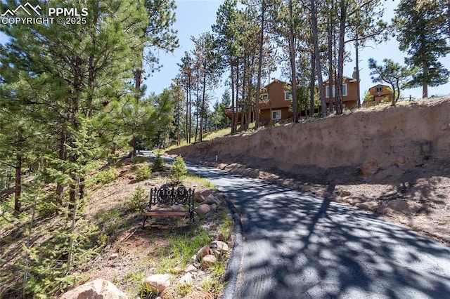 1053 Kings Crown Rd, Woodland Park, CO 80863 - view of street