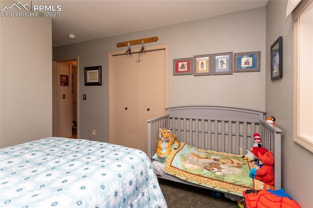 1053 Kings Crown Rd, Woodland Park, CO 80863 - carpeted bedroom featuring a closet