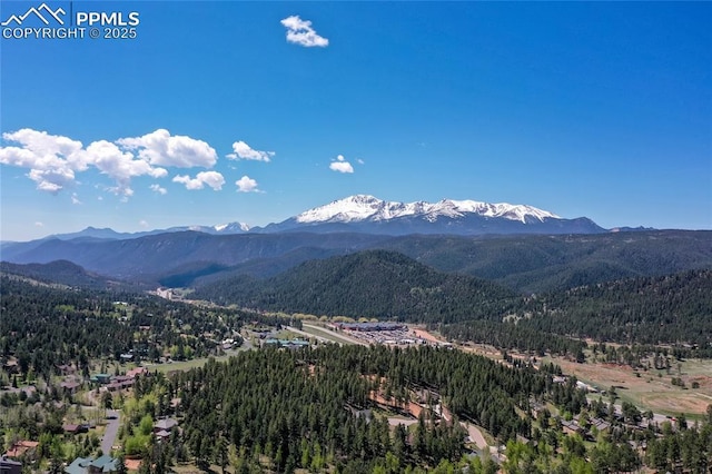 1053 Kings Crown Rd, Woodland Park, CO 80863 - view of mountain backdrop featuring a heavily wooded area