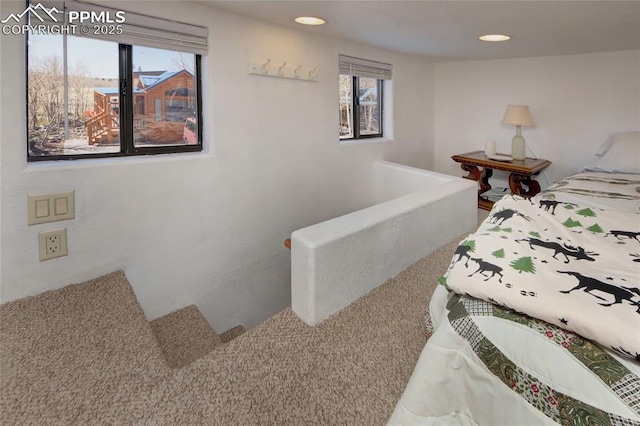 65 Sunshine Loop, Fairplay, CO 80440 - interior space featuring carpet and recessed lighting