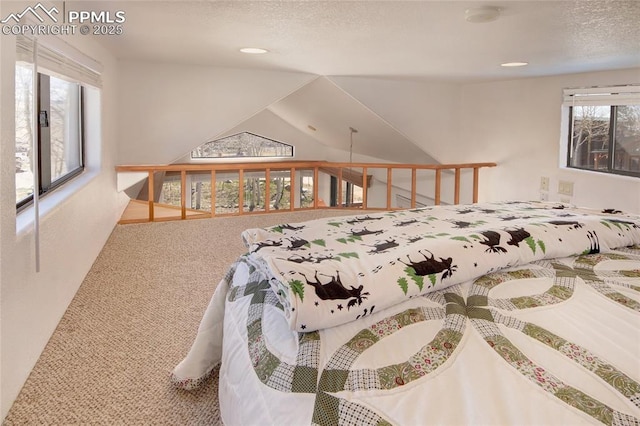 65 Sunshine Loop, Fairplay, CO 80440 - bedroom featuring carpet floors and a textured ceiling
