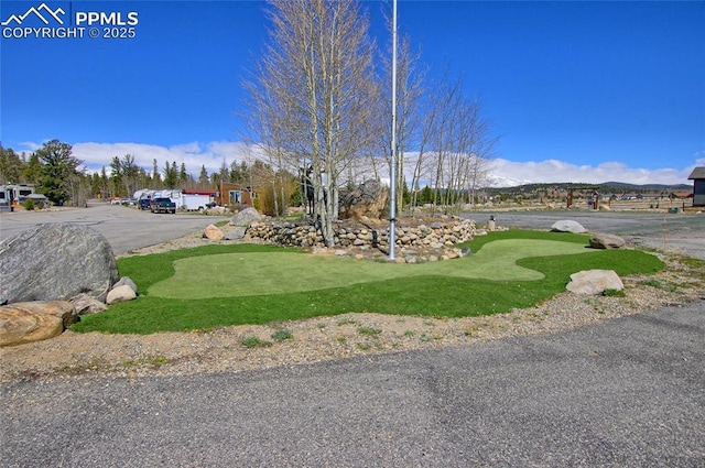 65 Sunshine Loop, Fairplay, CO 80440 - view of yard featuring an area to practice putting