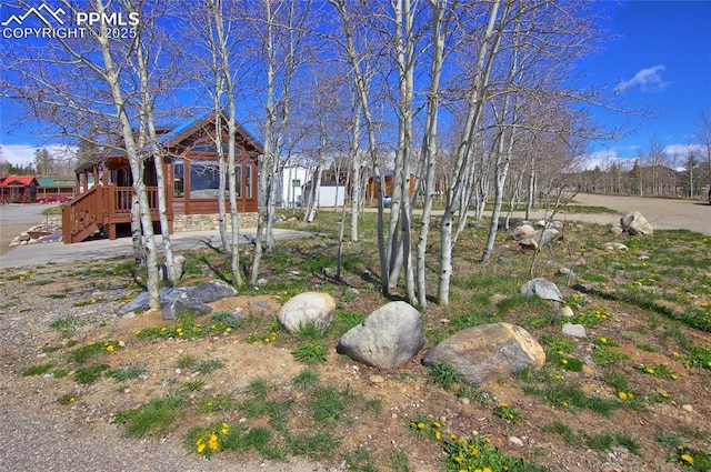 65 Sunshine Loop, Fairplay, CO 80440 - view of yard