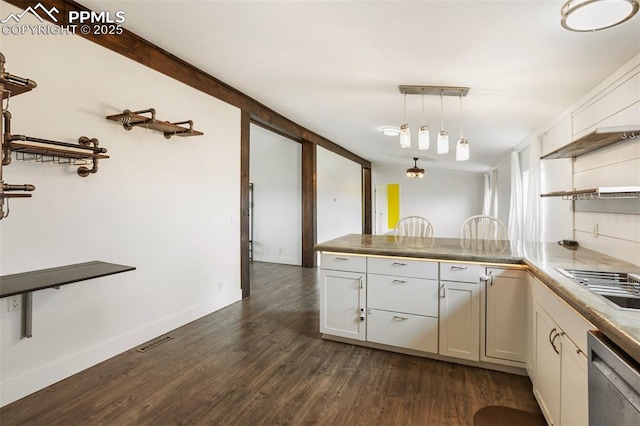 527 Golden Grain Ln, Divide, CO 80814 - kitchen with dishwasher, a peninsula, open shelves, dark wood-style flooring, and baseboards