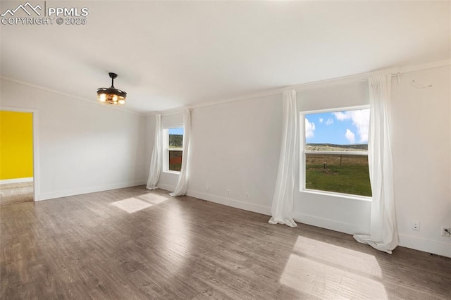 527 Golden Grain Ln, Divide, CO 80814 - spare room with wood finished floors, ornamental molding, and baseboards