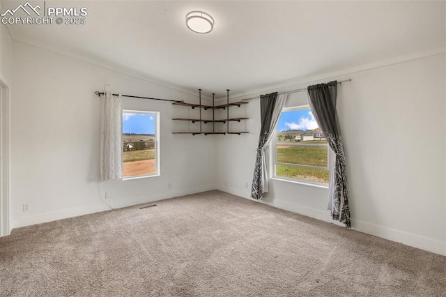 527 Golden Grain Ln, Divide, CO 80814 - carpeted spare room with plenty of natural light and lofted ceiling