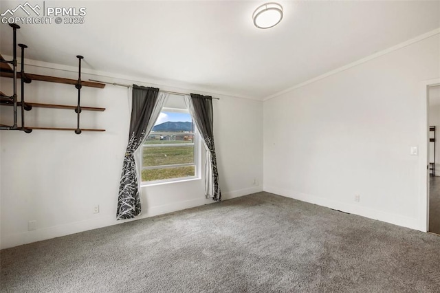 527 Golden Grain Ln, Divide, CO 80814 - spare room featuring carpet, ornamental molding, and baseboards