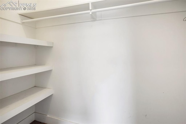 527 Golden Grain Ln, Divide, CO 80814 - view of closet