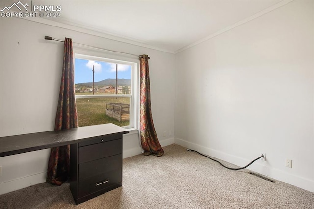 527 Golden Grain Ln, Divide, CO 80814 - unfurnished office with crown molding, carpet flooring, and baseboards