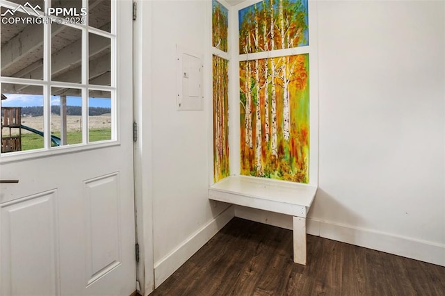 527 Golden Grain Ln, Divide, CO 80814 - doorway with baseboards and dark wood-type flooring