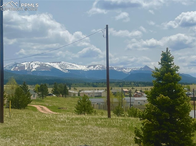 527 Golden Grain Ln, Divide, CO 80814 - view of mountain background