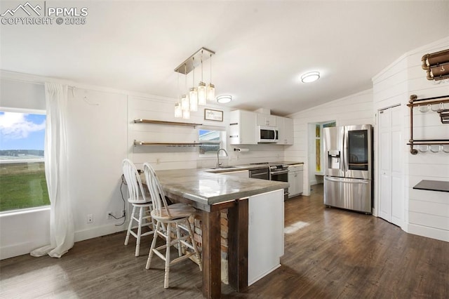 527 Golden Grain Ln, Divide, CO 80814 - kitchen with appliances with stainless steel finishes, healthy amount of natural light, dark wood-type flooring, and vaulted ceiling
