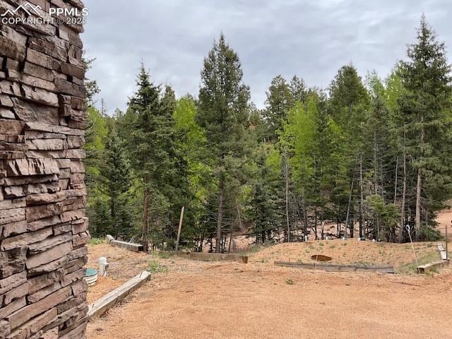 71 Mt Elbert Dr, Florissant, CO 80816 - view of yard with a wooded view