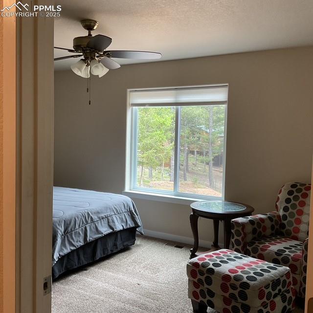 71 Mt Elbert Dr, Florissant, CO 80816 - carpeted bedroom with baseboards and ceiling fan