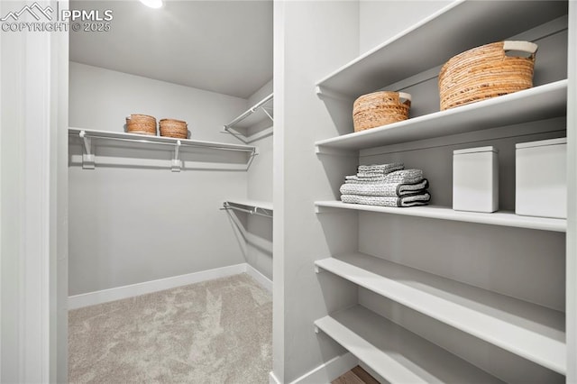 3071 Curly Grv, Colorado Springs, CO 80922 - walk in closet featuring carpet