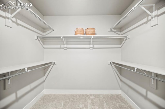 3071 Curly Grv, Colorado Springs, CO 80922 - walk in closet featuring carpet floors