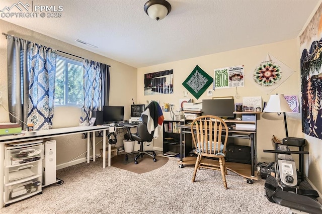 3566 Verde Dr, Colorado Springs, CO 80910 - office area with baseboards, carpet floors, and a textured ceiling
