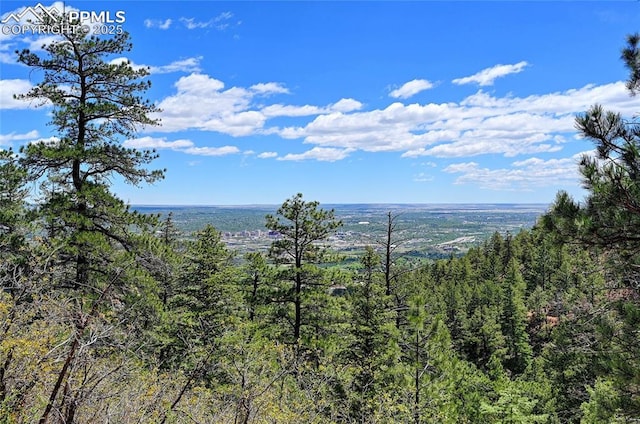 1526 Gardiner Rock Ln, Colorado Springs, CO 80906
