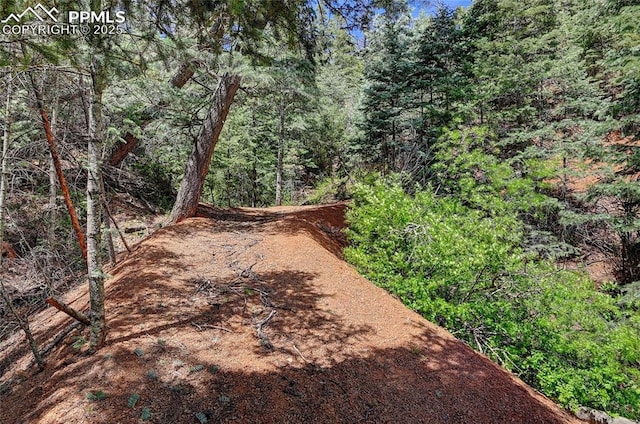 1526 Gardiner Rock Ln, Colorado Springs, CO 80906